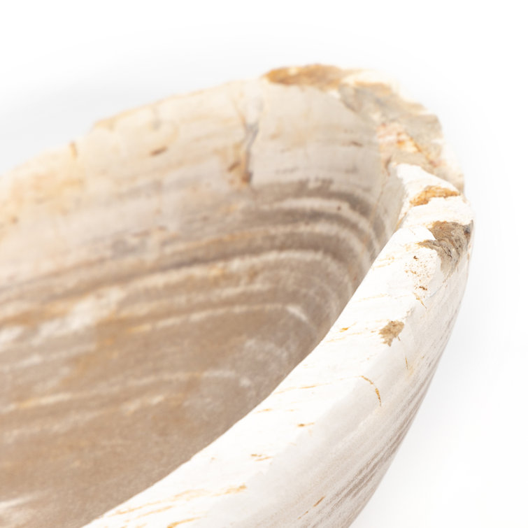 Eco-Chic Petrified Wood Decorative Bowl in Light Finish