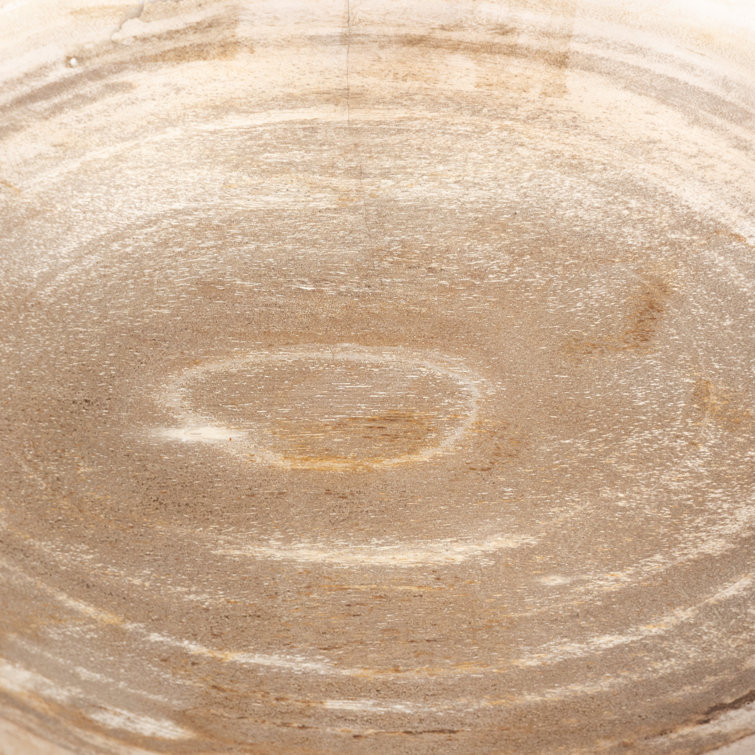 Eco-Chic Petrified Wood Decorative Bowl in Light Finish