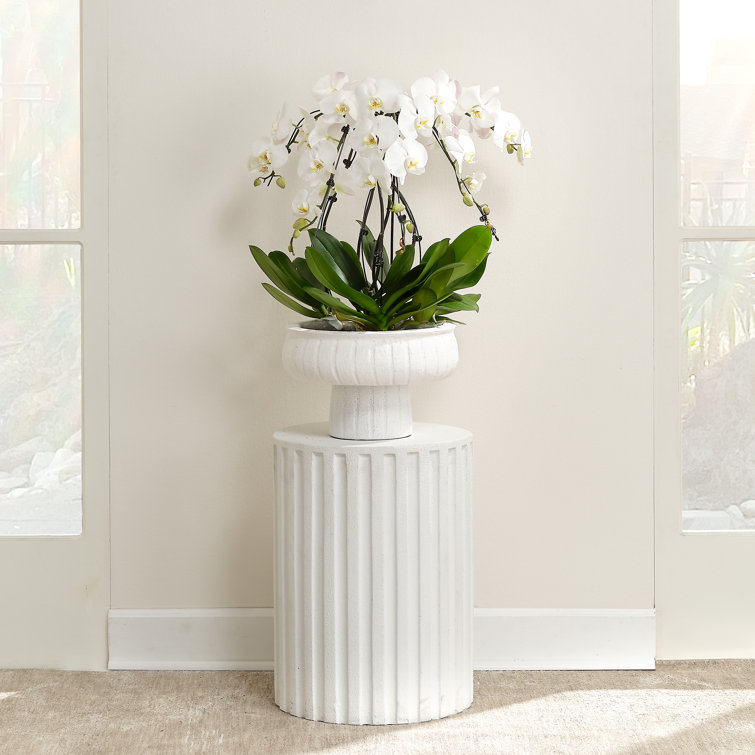 Coastal White Cement Drum-Shaped Fluted Side Table