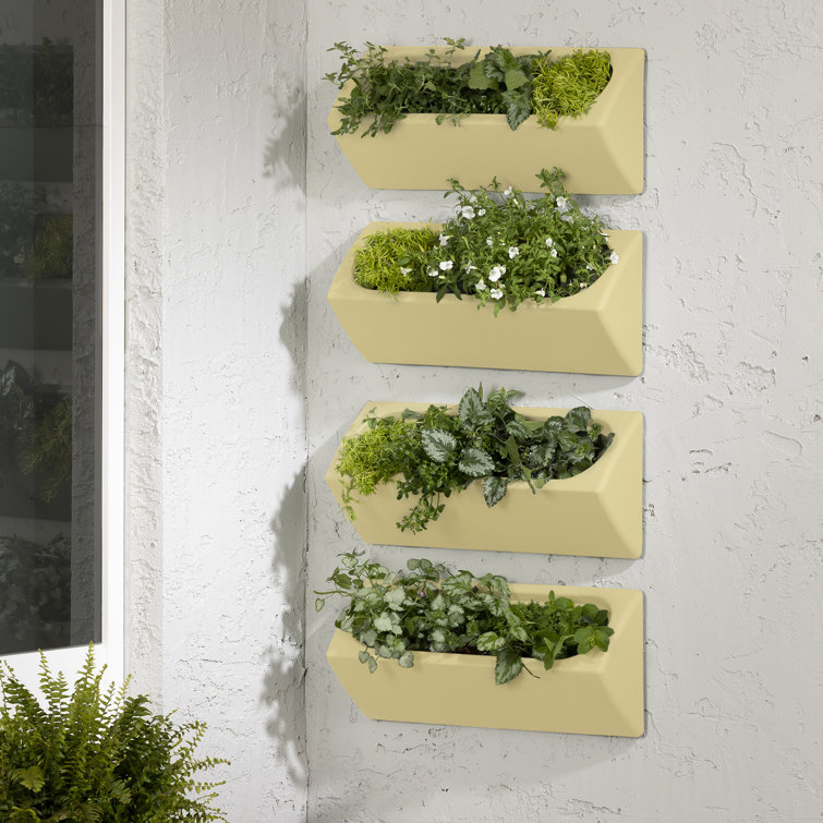 Light Yellow Polyethylene Resin Wall Planter Set