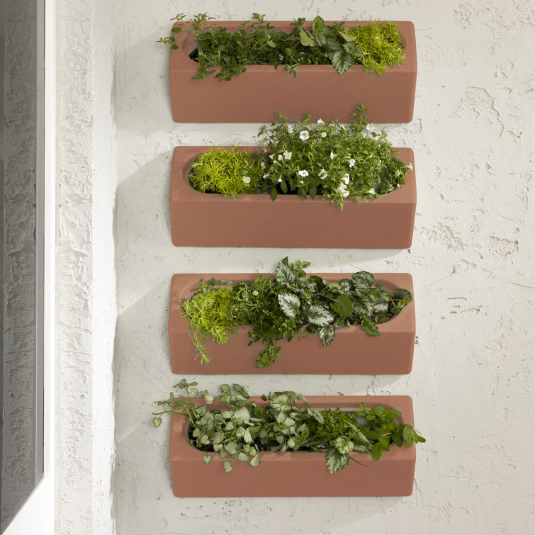 Dalya Burnt Orange Polyethylene Resin Outdoor Wall Planter Set