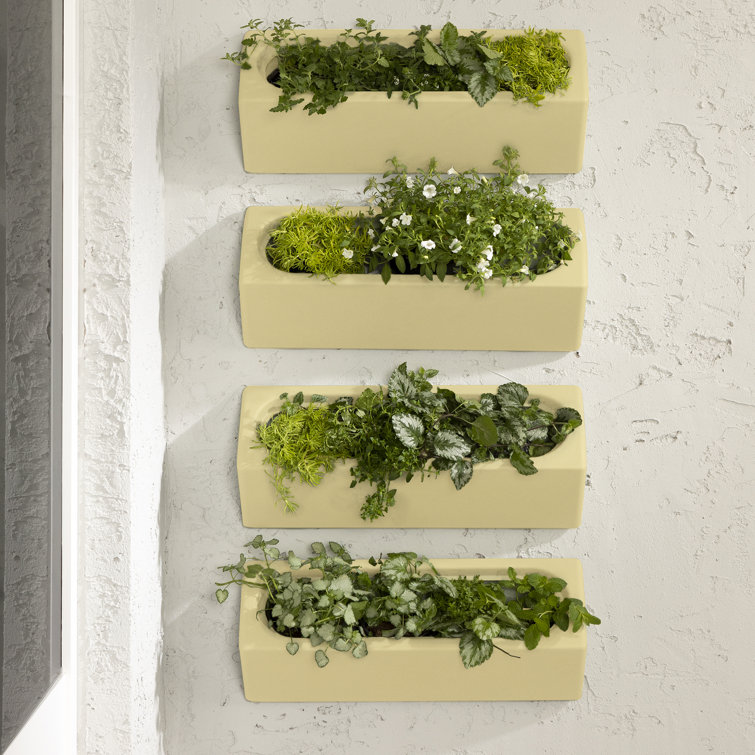 Light Yellow Polyethylene Resin Wall Planter Set