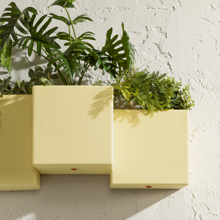 Light Yellow Dual Compartment Wall Planter