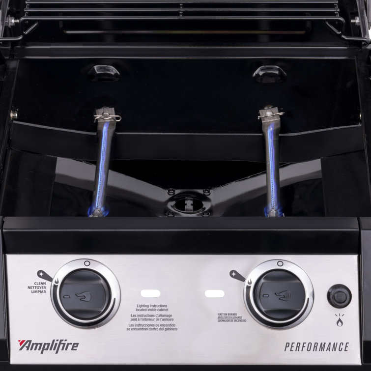 Black Stainless Steel 2-Burner Propane Gas Grill with Infrared