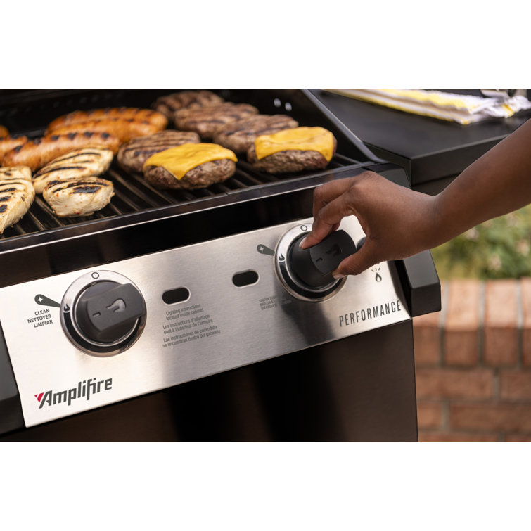 Black Stainless Steel 2-Burner Propane Gas Grill with Infrared