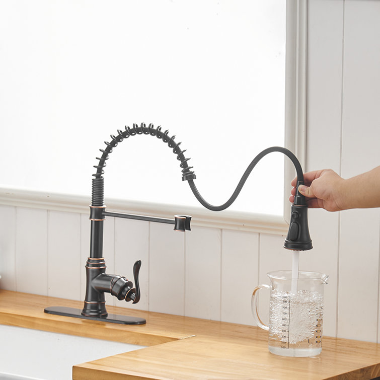 Oil Rubbed Bronze Kitchen Faucet with Pull-out Spray
