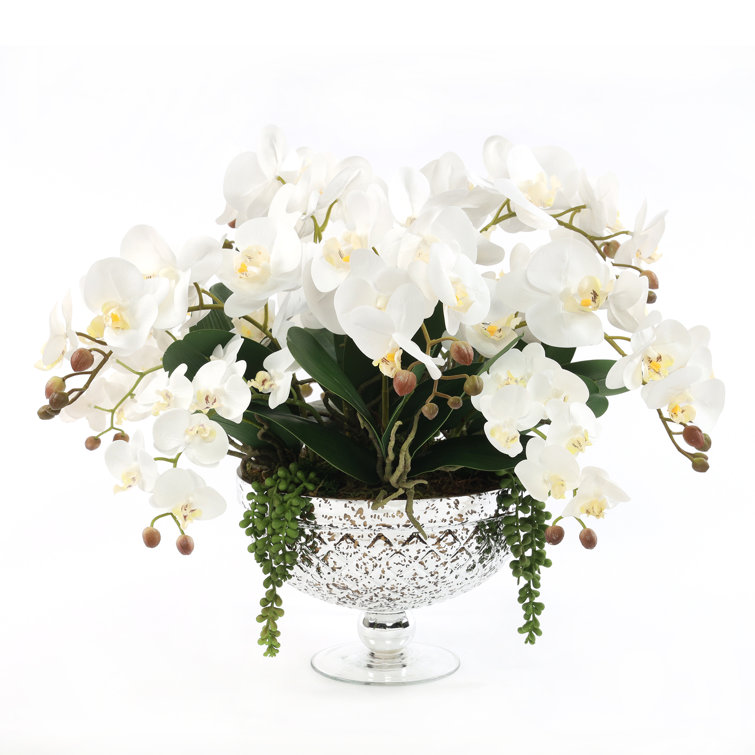 Elegant White Orchid Centerpiece in Antique Silver Glass Vase