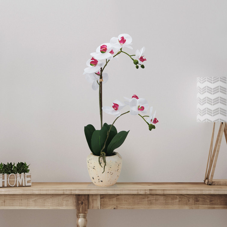 White and Pink Realistic Faux Orchid in Stone Pot, 22-Inch