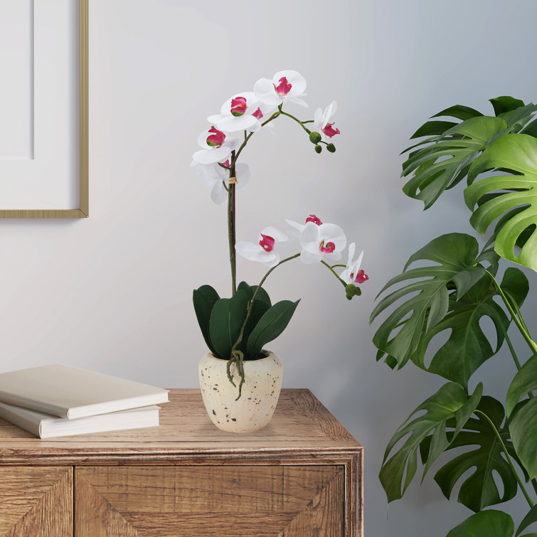 White and Pink Realistic Faux Orchid in Stone Pot, 22-Inch