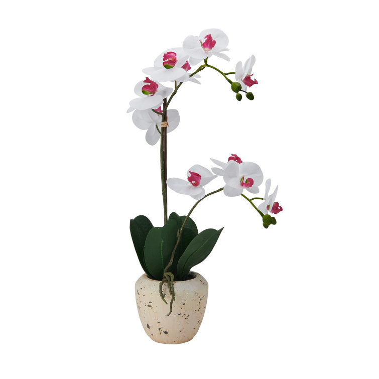 White and Pink Realistic Faux Orchid in Stone Pot, 22-Inch