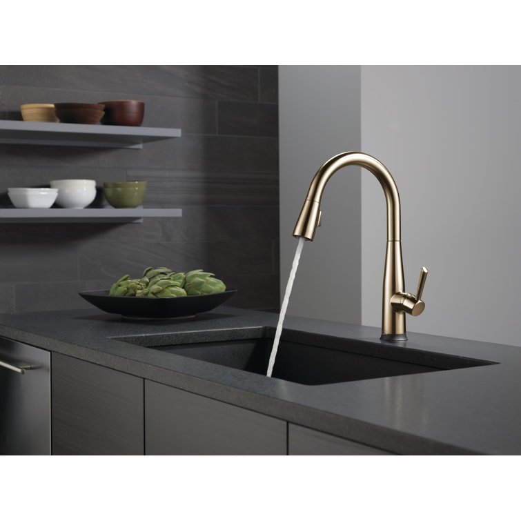 Champagne Bronze Single Handle Pull-Down Kitchen Faucet with Touch2O Technology