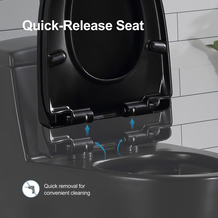 Matte Black Elongated Dual Flush High Efficiency Toilet
