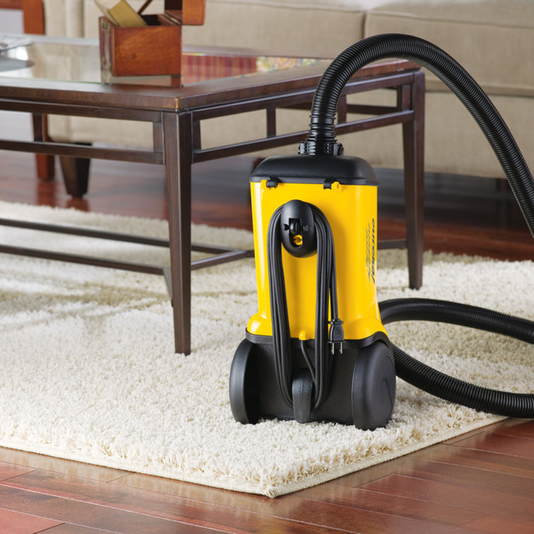 Eureka Mighty Mite Yellow Canister Vacuum for Pets
