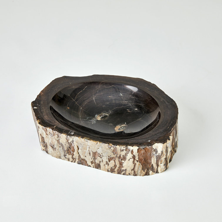Handmade Petrified Wood Decorative Bowl in Black and Brown