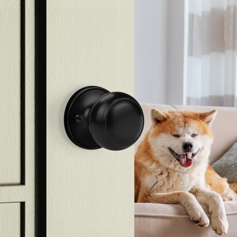 Black Round Passage Door Knob with Circle Rosette