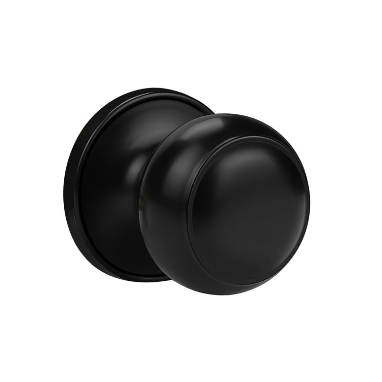 Black Round Passage Door Knob with Circle Rosette