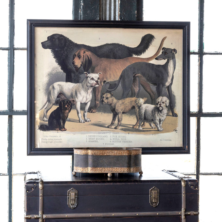 Black Framed Canvas Print of Domestic Dogs