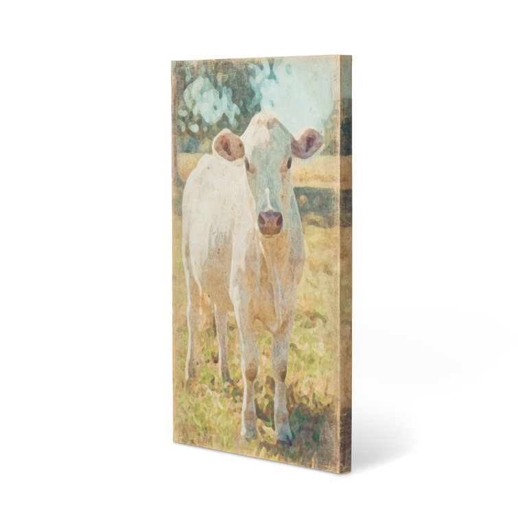 Multicolor Charolais Cow Canvas Print Wall Art, 36-inch