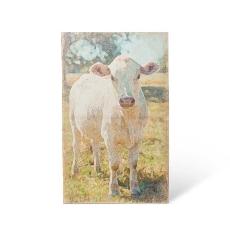 Multicolor Charolais Cow Canvas Print Wall Art, 36-inch