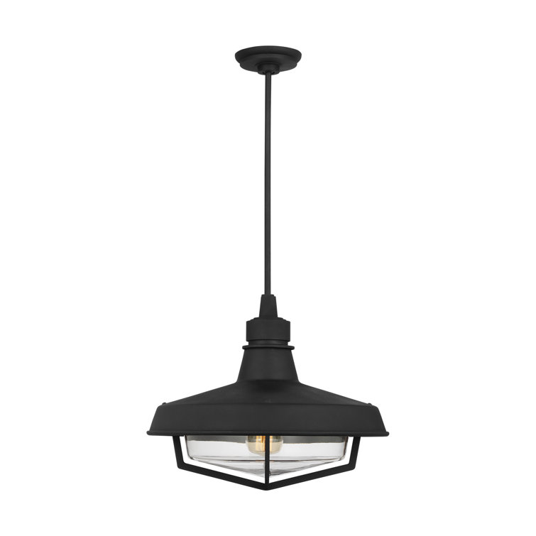 Textured Black and Clear Glass Indoor/Outdoor Pendant Light
