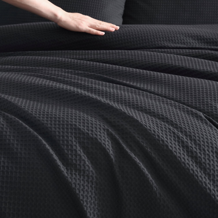 Moonlight Grey Cotton Queen Comforter Set with Reversible Shams