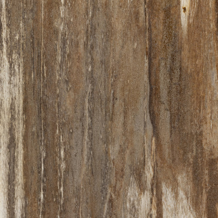 Light Petrified Wood Round End Table