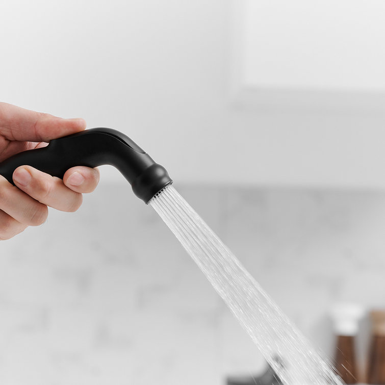 Matte Black Double Handle Bridge Kitchen Faucet with Pull-out Spray