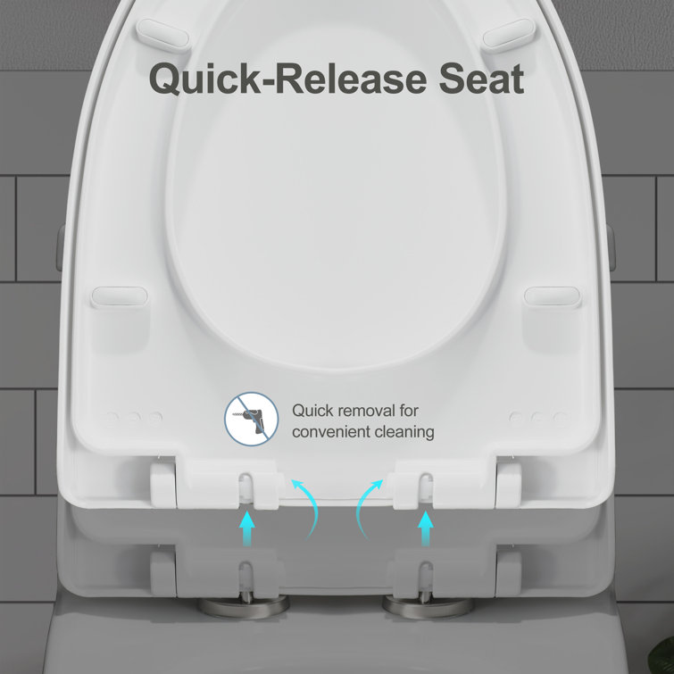 Greta White Elongated One-Piece Dual Flush Toilet