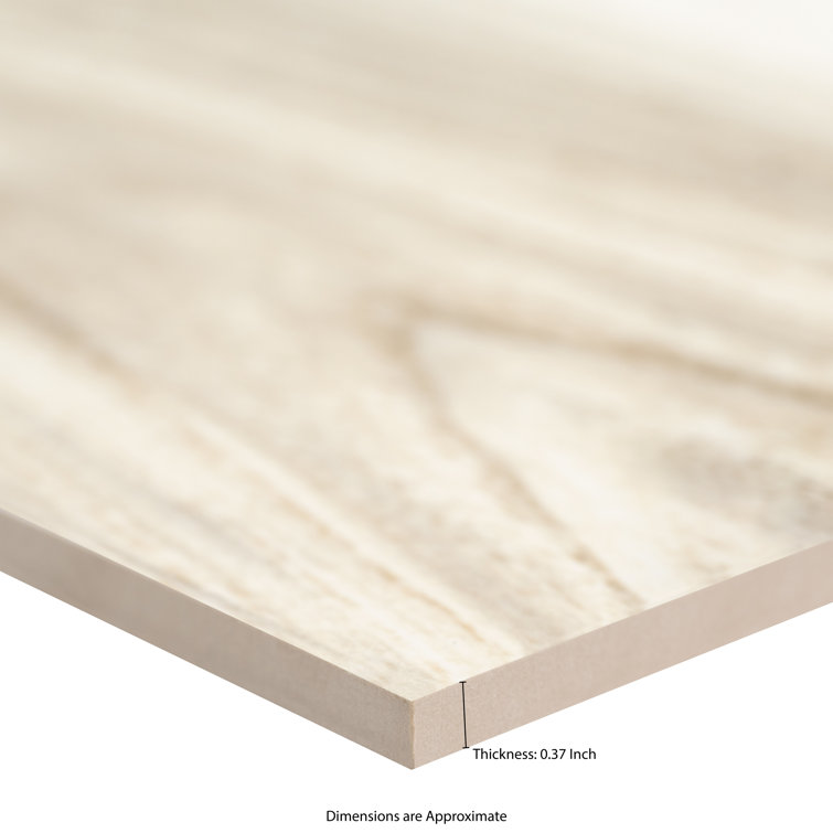 Eramosa Silver 12'' x 24'' Matte Porcelain Tile
