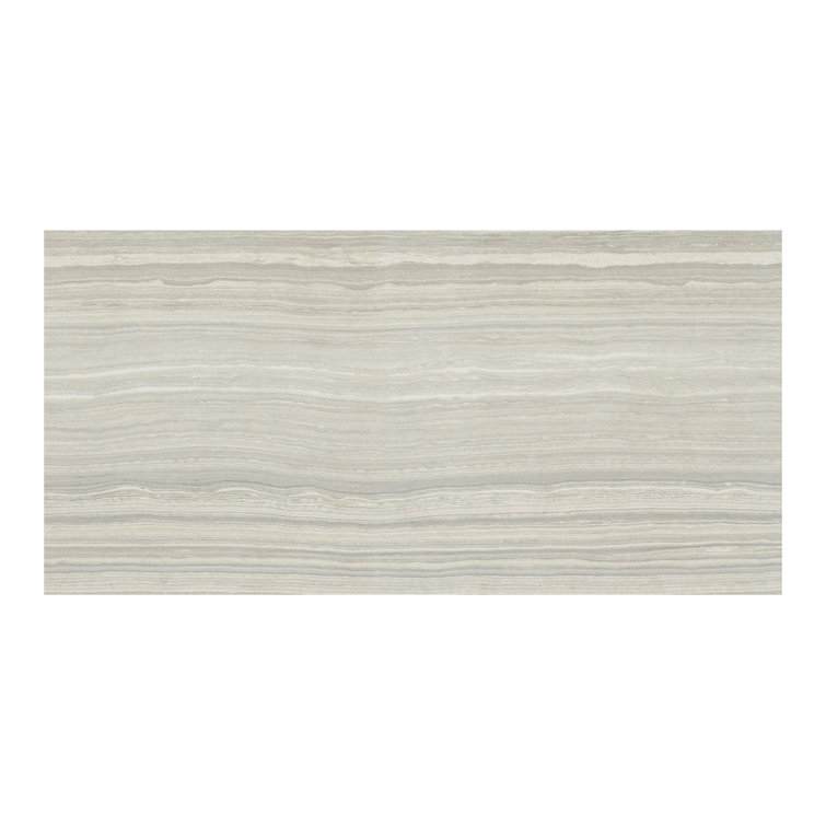 Eramosa Silver 12'' x 24'' Matte Porcelain Tile