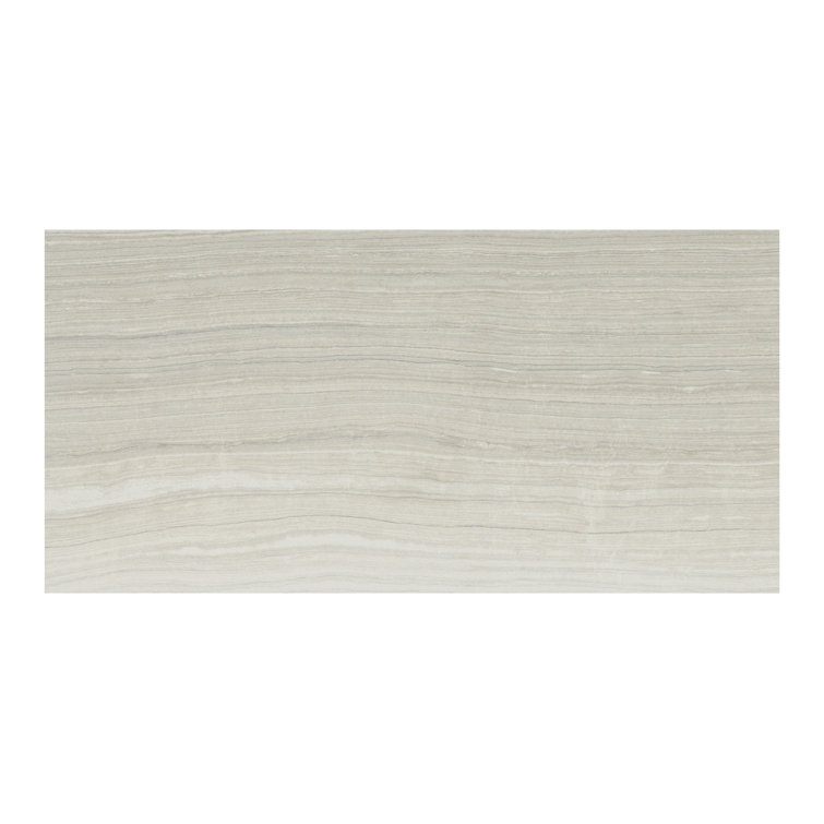 Eramosa Silver 12'' x 24'' Matte Porcelain Tile