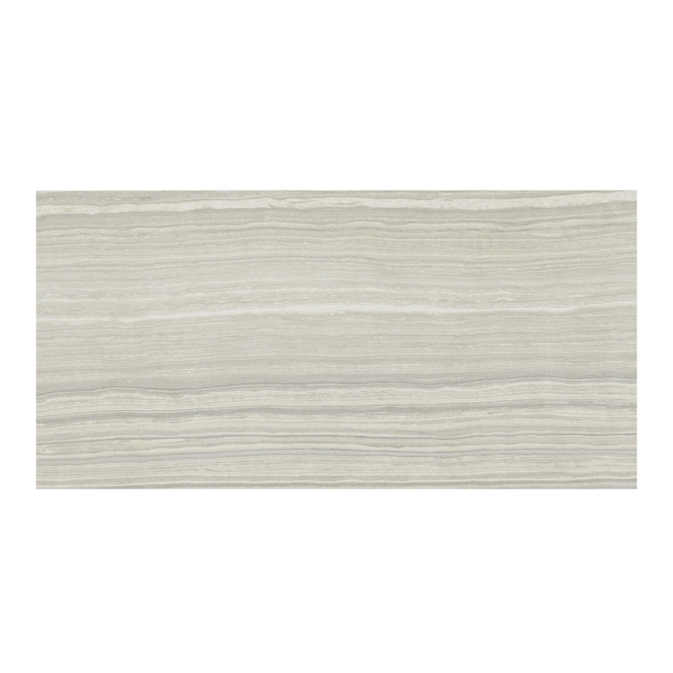 Eramosa Silver 12'' x 24'' Matte Porcelain Tile