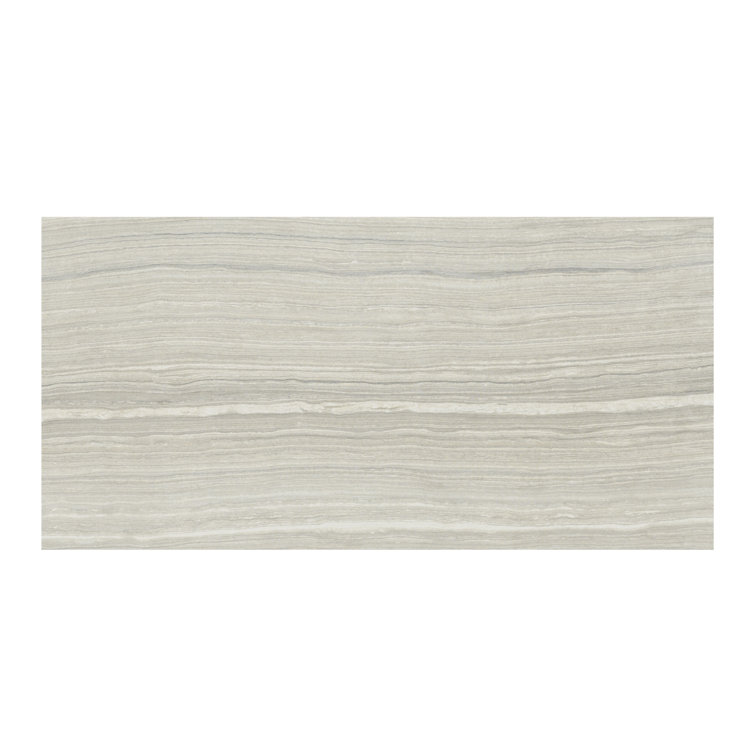 Eramosa Silver 12'' x 24'' Matte Porcelain Tile
