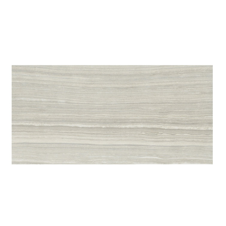 Eramosa Silver 12'' x 24'' Matte Porcelain Tile