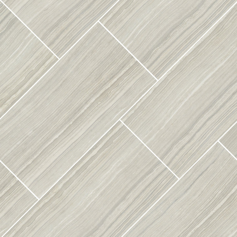 Eramosa Silver 12'' x 24'' Matte Porcelain Tile