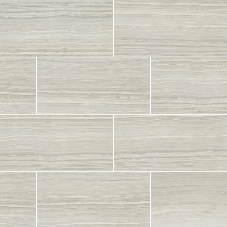 Eramosa Silver 12'' x 24'' Matte Porcelain Tile