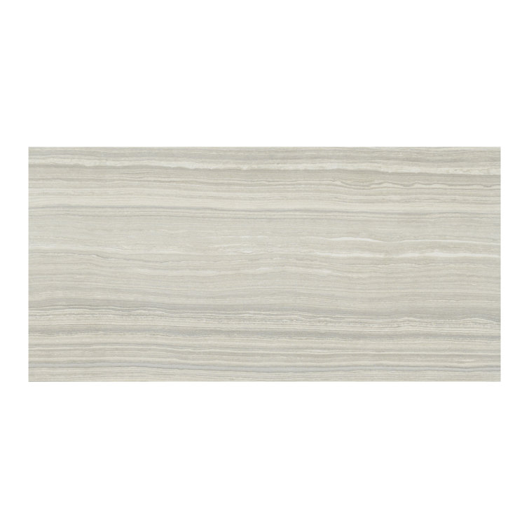 Eramosa Silver 12'' x 24'' Matte Porcelain Tile