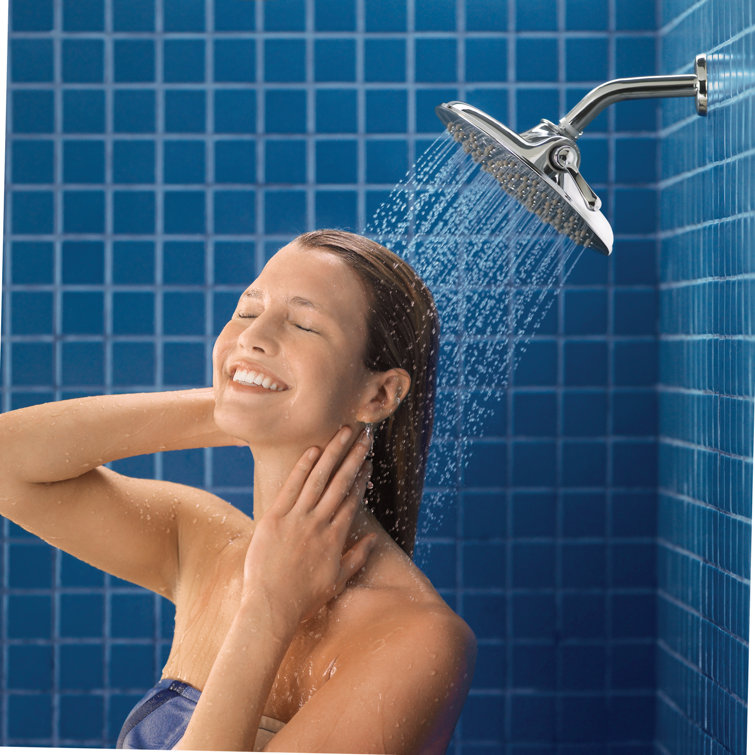 Velocity 2.5 GPM Multi Function with Immersion