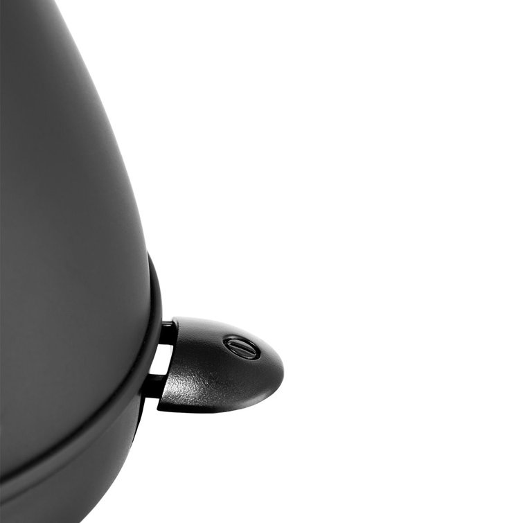 Matte Black Stainless Steel Gooseneck Electric Kettle, 27 Ounce