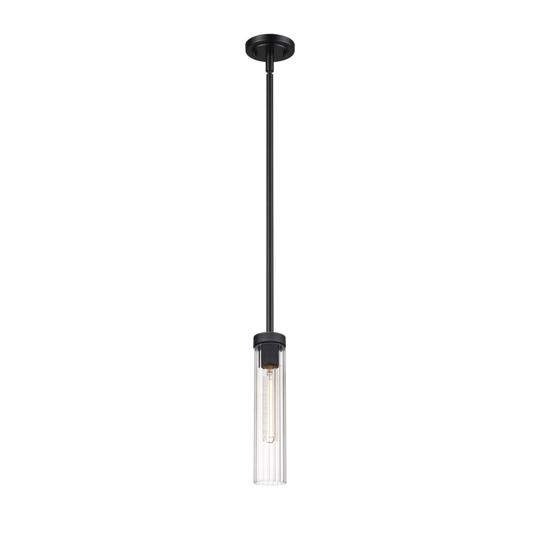Matte Black Steel and Glass 12.75" Indoor/Outdoor Pendant Light