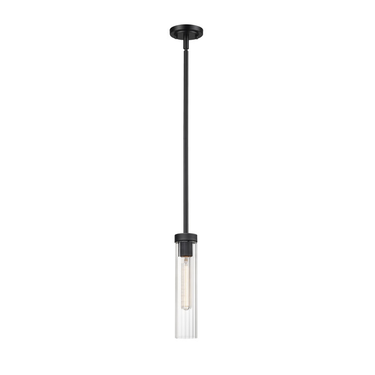 Matte Black Steel and Glass 12.75" Indoor/Outdoor Pendant Light
