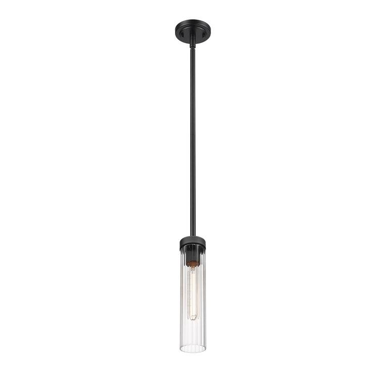 Matte Black Steel and Glass 12.75" Indoor/Outdoor Pendant Light