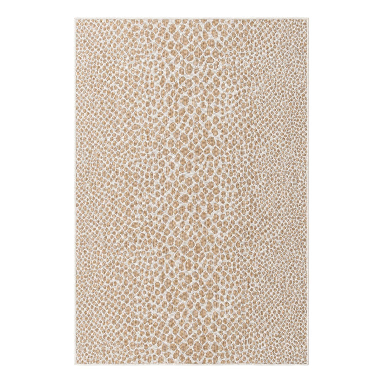 Cape Town Dark Beige Synthetic Outdoor Area Rug 4' x 6'