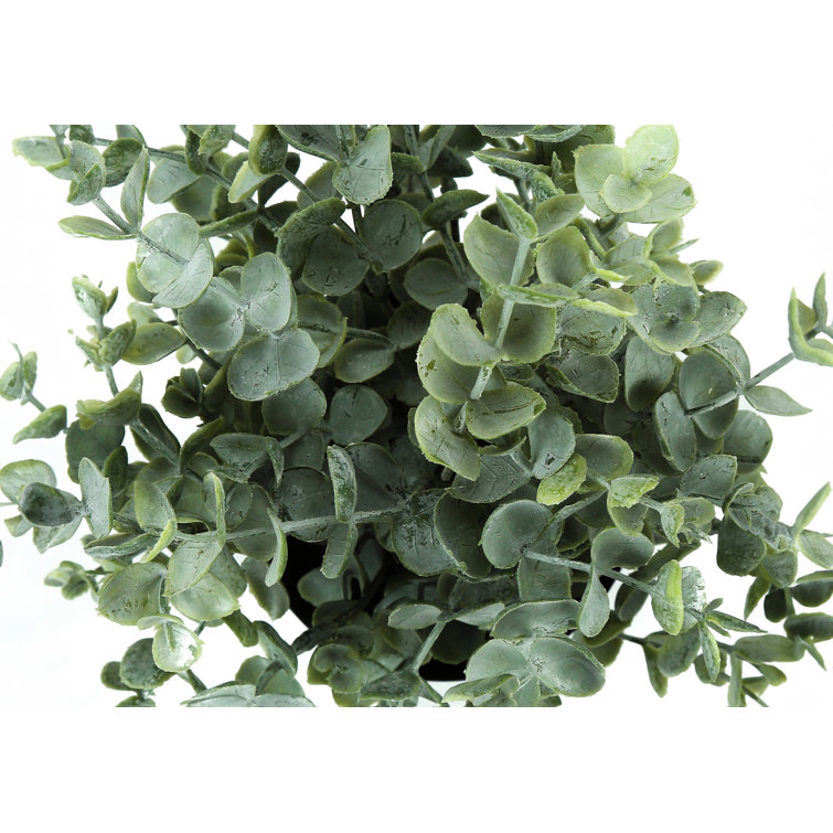 11'' Green Faux Eucalyptus and Grass Plants in Black Pots