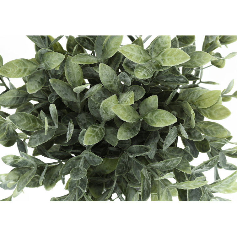 11'' Green Faux Eucalyptus and Grass Plants in Black Pots