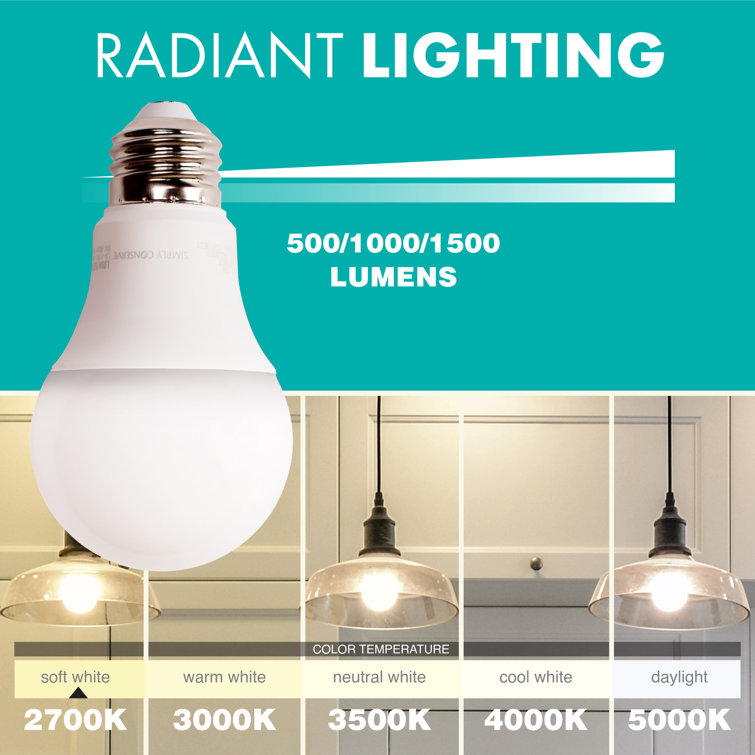 Opaque White 3-Way LED Energy Star Light Bulb
