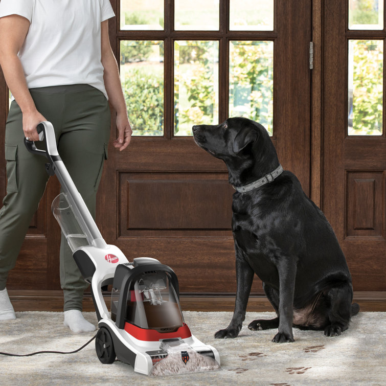 Hoover White Compact Upright Carpet Shampooer with Heated Cleaning