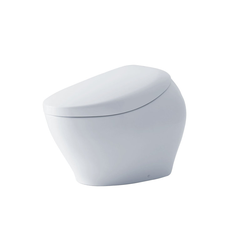 White Ceramic Dual Flush Elongated Bidet Toilet