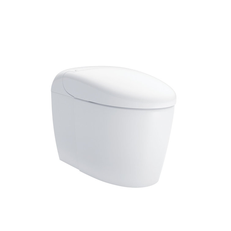 High Efficiency White Ceramic Dual Flush Elongated Toilet with Bidet