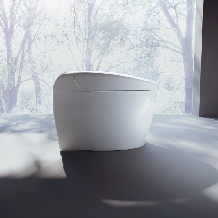 High Efficiency White Ceramic Dual Flush Elongated Toilet with Bidet